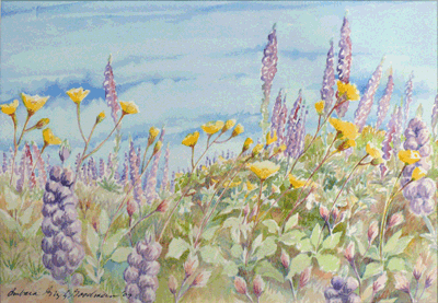 Lupines and Desert Daisies